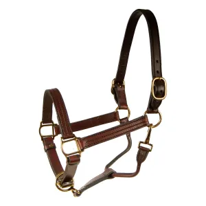 Berlin Track Leather Halter, 1"