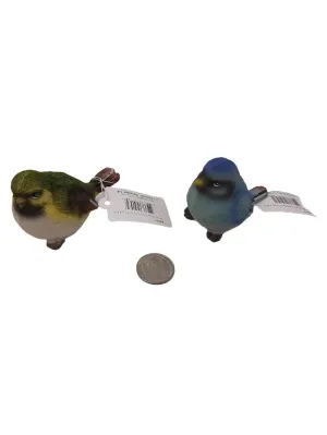 Bright rainbow bird-small-transpac-P9317