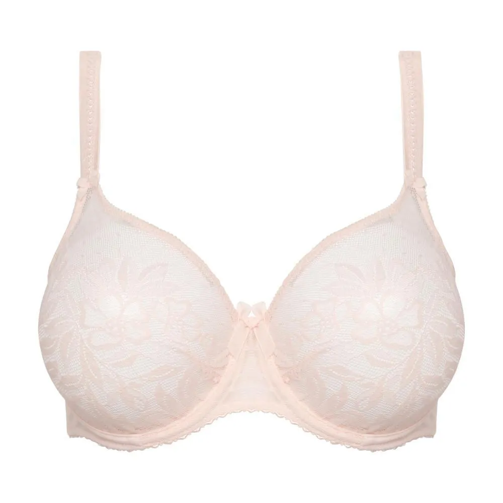 Divine airy Venus bra
