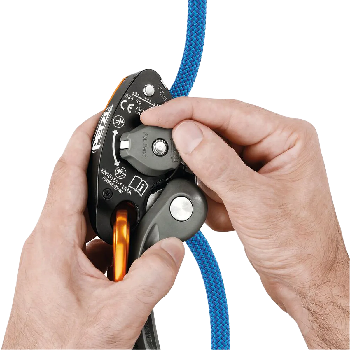 Grigri  