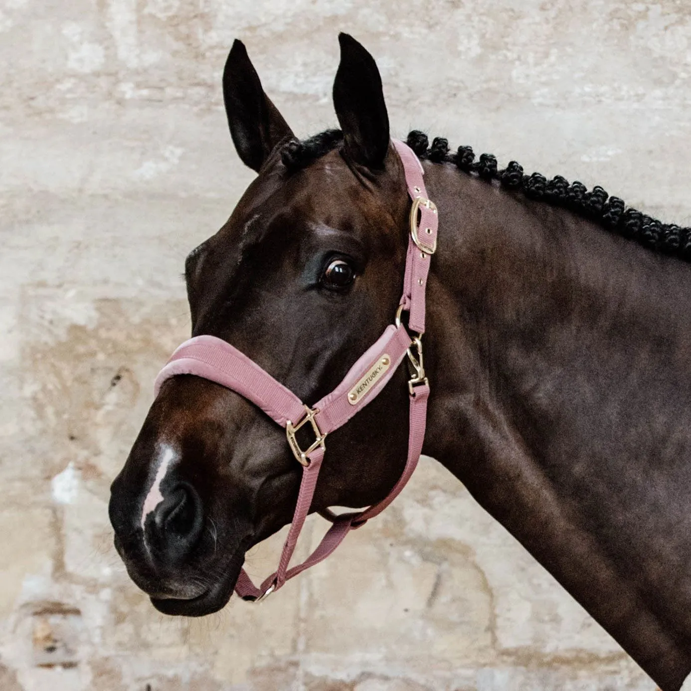 Kentucky Horsewear Velvet Headcollar - Old Rose