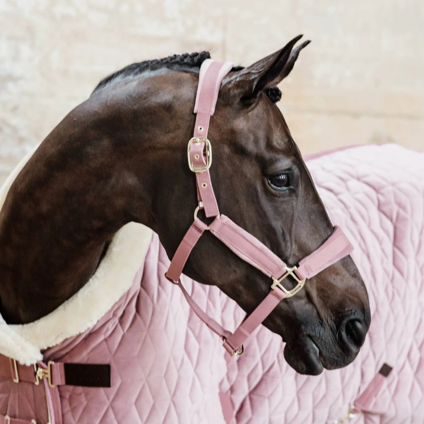 Kentucky Horsewear Velvet Headcollar - Old Rose