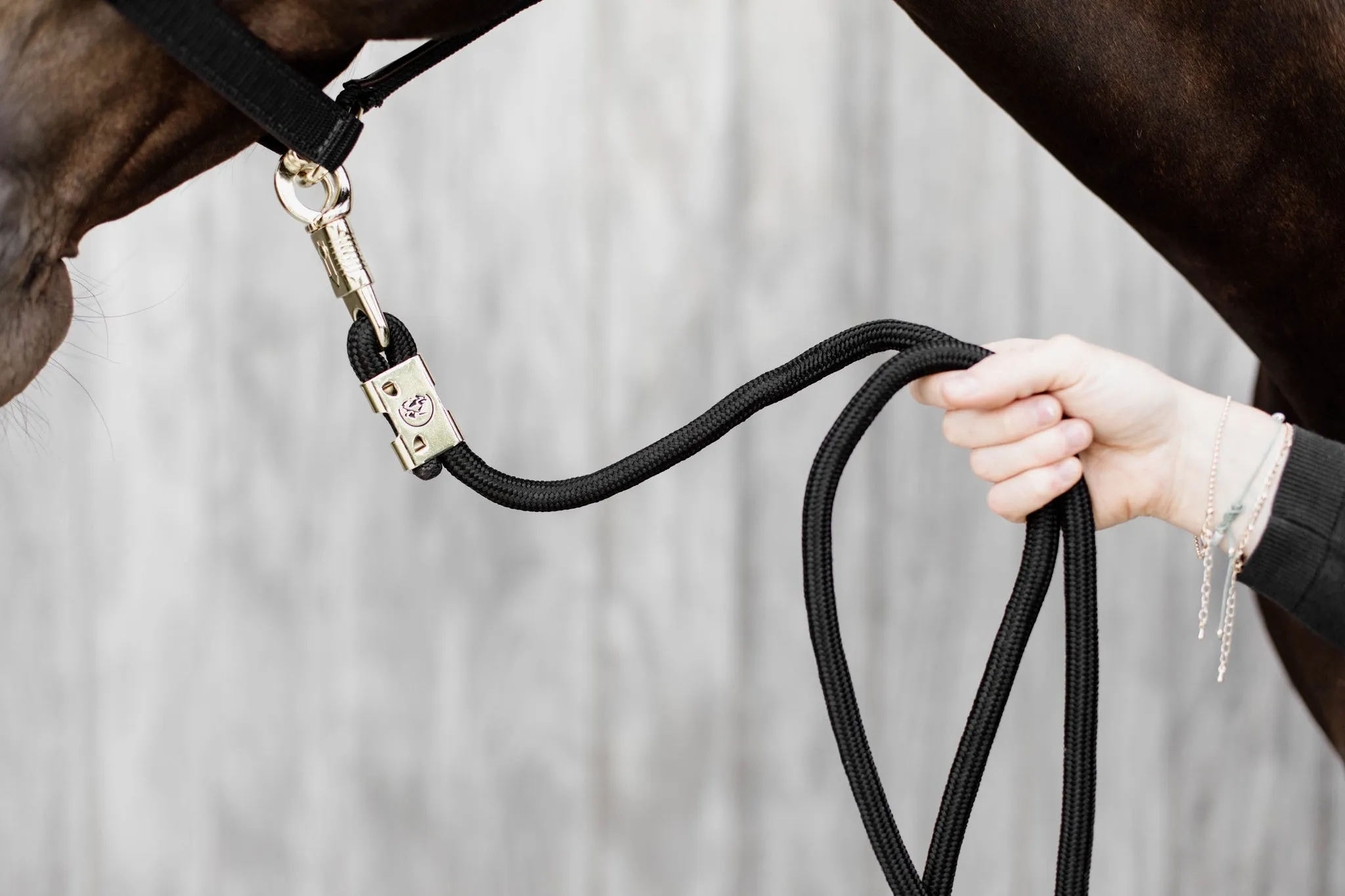 Lead Rope with Panic Hook