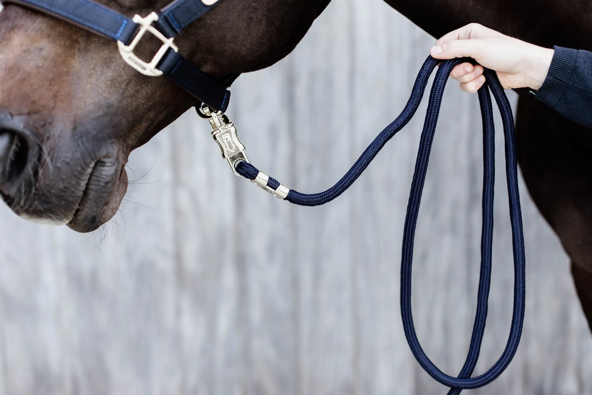 Lead Rope with Panic Hook