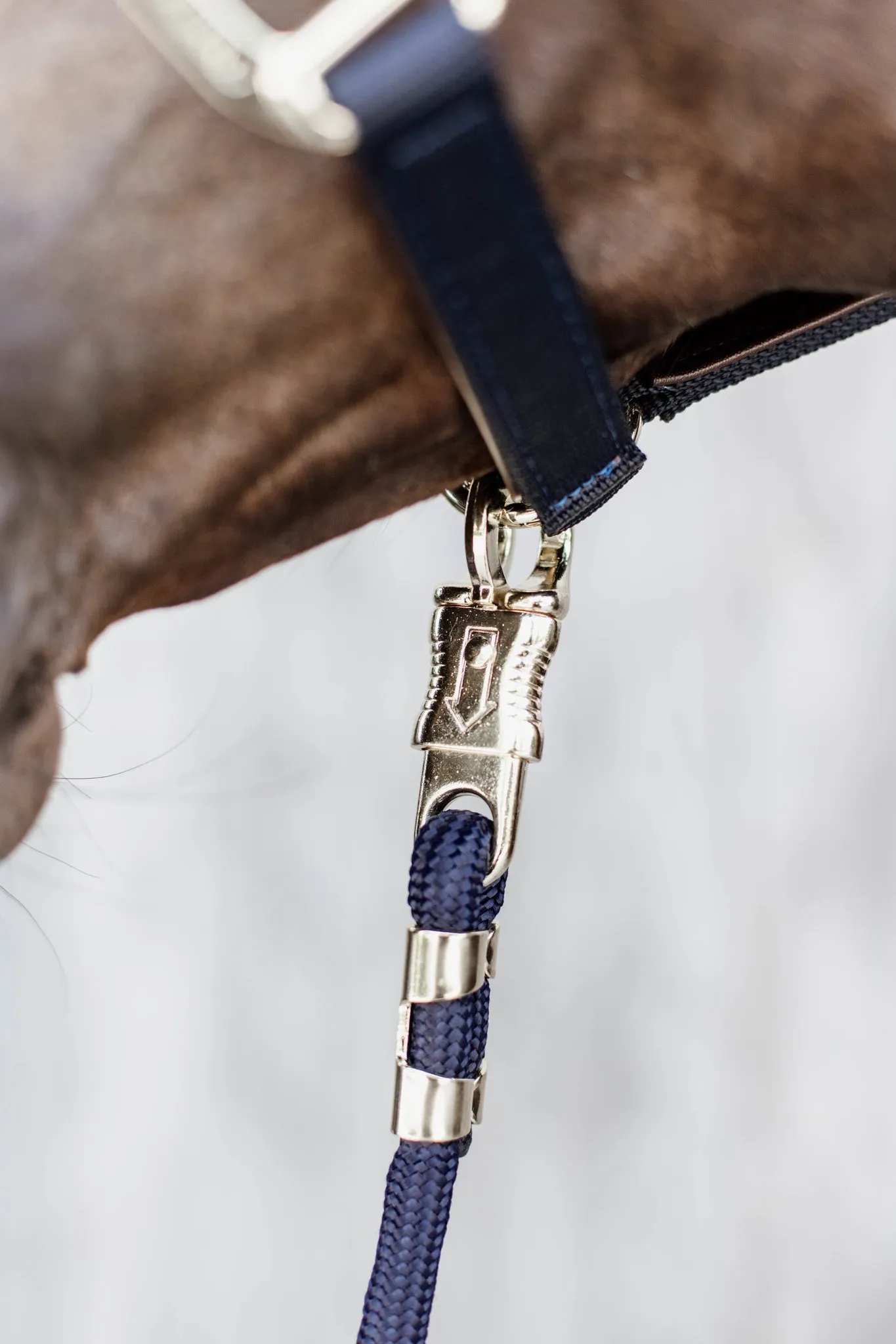 Lead Rope with Panic Hook