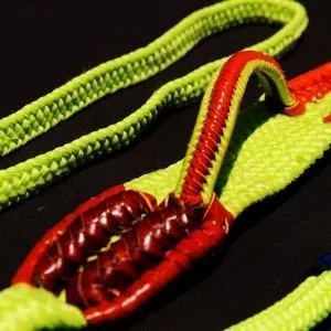 MX Custom Offset Brazilian Double Braid Bull Rope