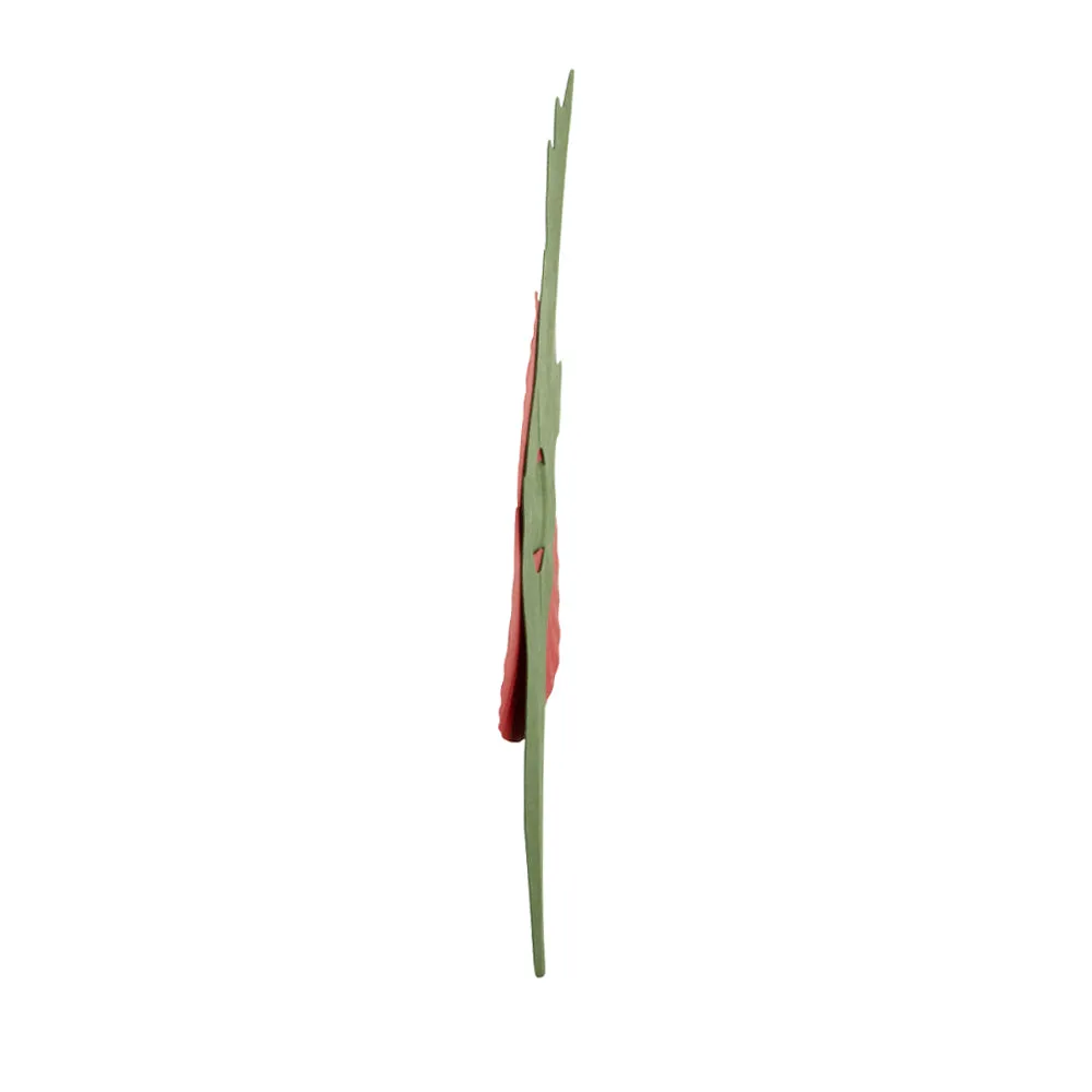 Plastic-Free Paper Poppy - £10