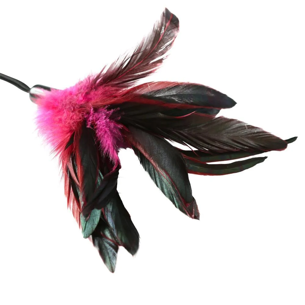 PREMIUM PLEASURE FEATHER