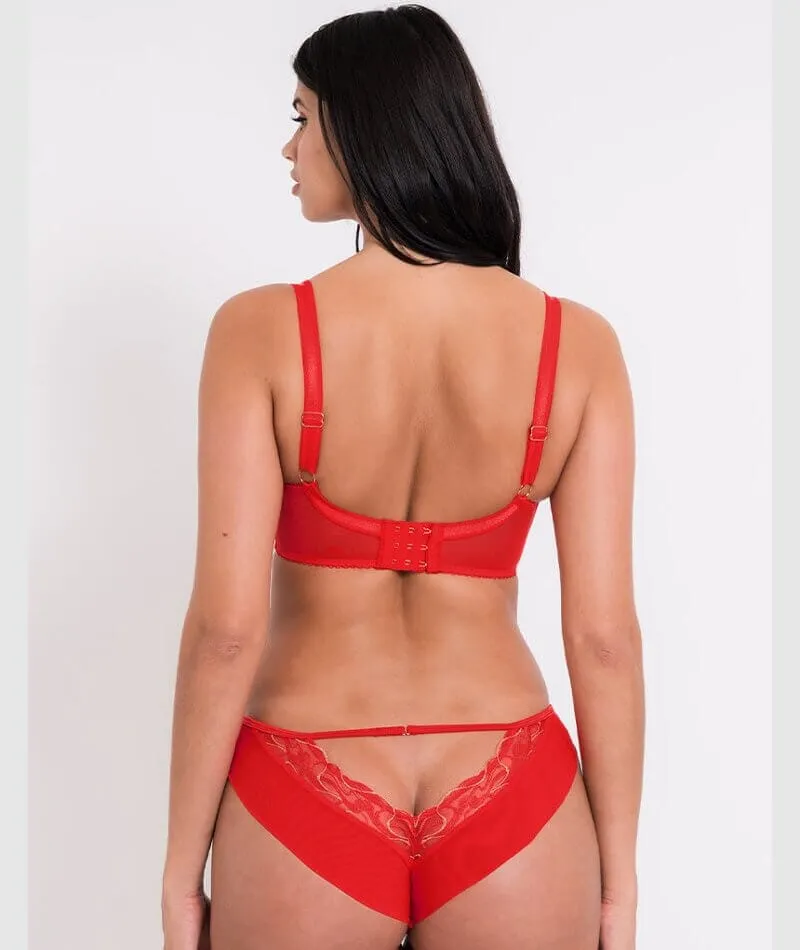Scantilly Fascinate Plunge Bra - Poppy Red
