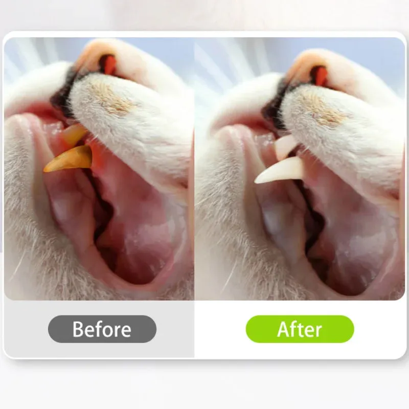 Silvervine Chew Stick for Cats
